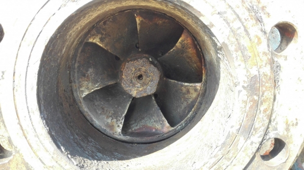 หัวปั้มน้ำหอยโข่งสเตนเลสญี่ปุ่น TAKI PUMP JAPAN เข้ามา 2 ตัว หมุนนิ่มพร้อมใช้งาน