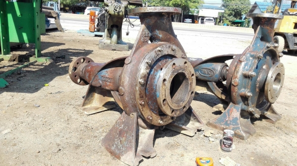 หัวปั้มน้ำหอยโข่งสเตนเลสญี่ปุ่น TAKI PUMP JAPAN เข้ามา 2 ตัว หมุนนิ่มพร้อมใช้งาน