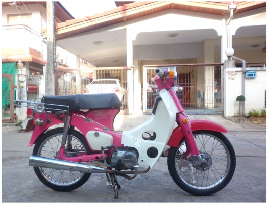 ---- Honda C50 ถังแยก สาวๆหลายคนบอกรูปไม่ชัด เลยจัดให้ใหม่ ----
