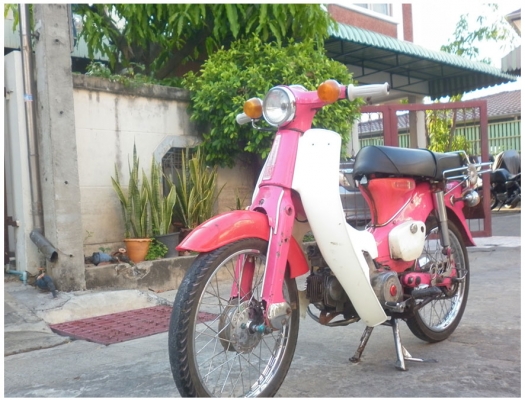 ---- Honda C50 ถังแยก สาวๆหลายคนบอกรูปไม่ชัด เลยจัดให้ใหม่ ----
