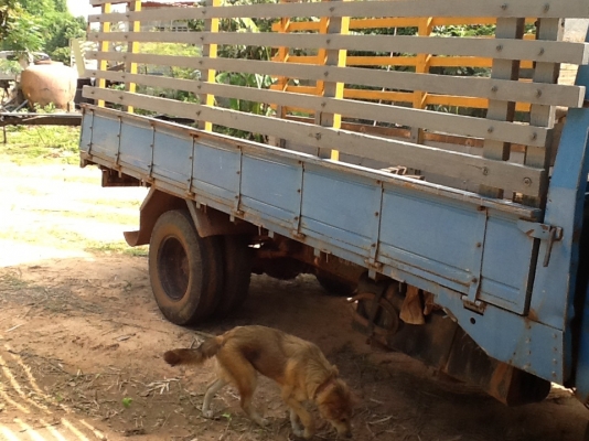 ขายด่วน TL100 4BC2 100 hp สภาพเดิมมยังไม่เก็บสี จากโรงงาน ขายด่วน TL100 4BC2 100 hp สภาพเดิมมยังไม่เก็บสี จากโรงงาน