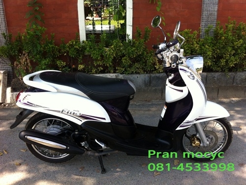 ขายfinoสีขาวม่วง คลาสสิคปี2555 ขายfinoสีขาวม่วง คลาสสิคปี2555
