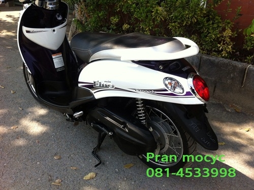 ขายfinoสีขาวม่วง คลาสสิคปี2555 ขายfinoสีขาวม่วง คลาสสิคปี2555