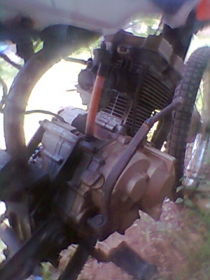 ขายด่วน ขายด่วน