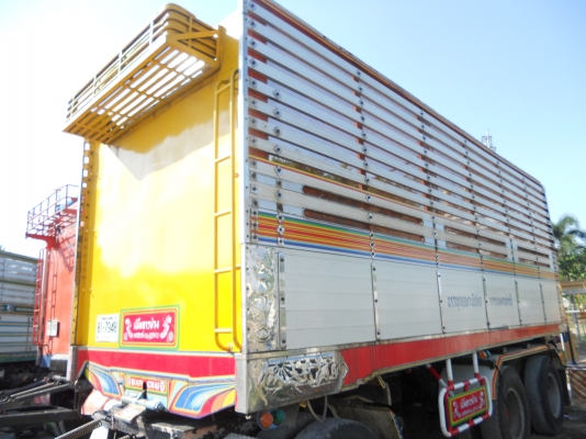 ขายด่วนลููกพ่วงซุ่นชัย ปีเนียมดั้ม