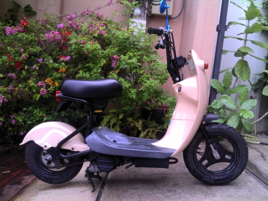 ขาย Suzuki Choiniri 50 CC ขาย Suzuki Choiniri 50 CC