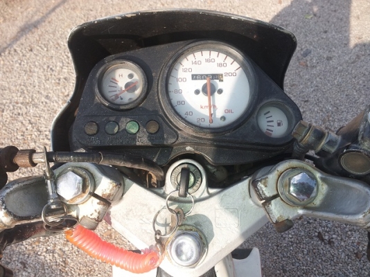 **ขาย แด็ช  สภาพครบๆ**