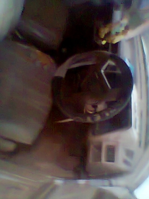 ขายด่วน