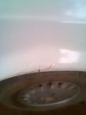 ขายด่วน