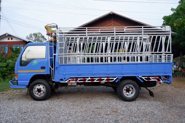 ขายรถอีซูซุ NQR140 ยาว 4.30 ม. โทร.087-951-2324 ขายรถอีซูซุ NQR140 ยาว 4.30 ม. โทร.087-951-2324