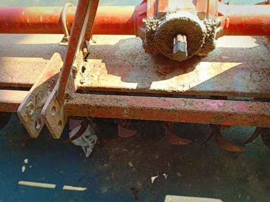 โลตาลี่ โลตาลี่