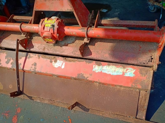 โลตาลี่ โลตาลี่