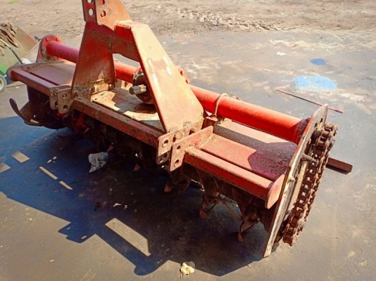 โลตาลี่ โลตาลี่