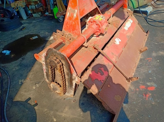 โลตาลี่ โลตาลี่