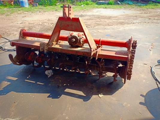 โลตาลี่