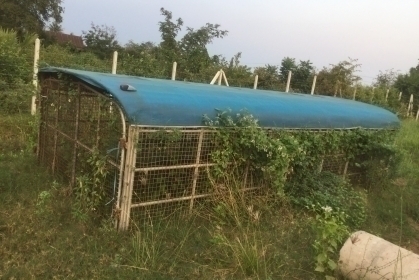 ขายหลังคายาว5.5ม กว้าง2.5สูง1,5ม มีตะข่ายเหล็กรอบด้าน ราคา16,000 ติดต่อ 089-5367218. 081-4252943 ขายหลังคายาว5.5ม กว้าง2.5สูง1,5ม มีตะข่ายเหล็กรอบด้าน ราคา16,000 ติดต่อ 089-5367218. 081-4252943