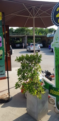 เซ้งร้านชาครบวงจร ทำเลดีมาก ไม่มีคนดูแล