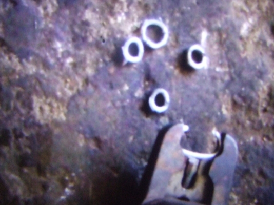 ขายเครื่องมือของjapan