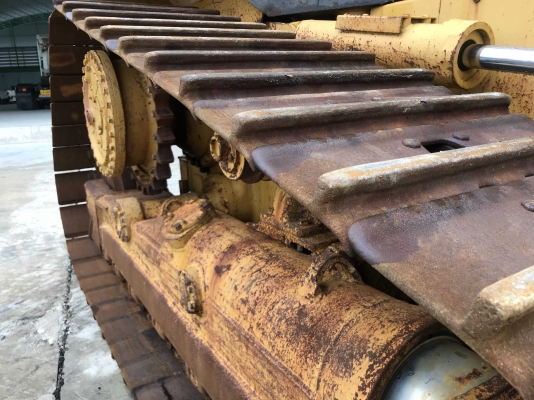 CAT D5M-XL นำเข้าตรงจากญี่ปุ่น