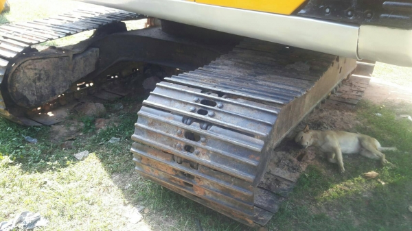 ขายรถแบคโฮKobelco 200พร้อมเทรลเลอร์