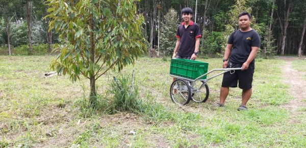 หว่านไว หว่านได้ดั่งใจ ใหม่ รถหว่านปุ๋ย ดินสอ  ติดต่อ 084 0560785