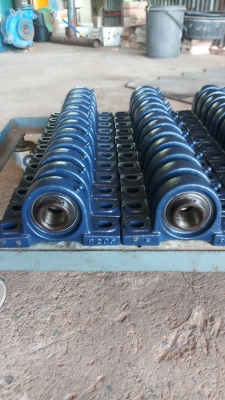 แบริ่งตุ๊กตา