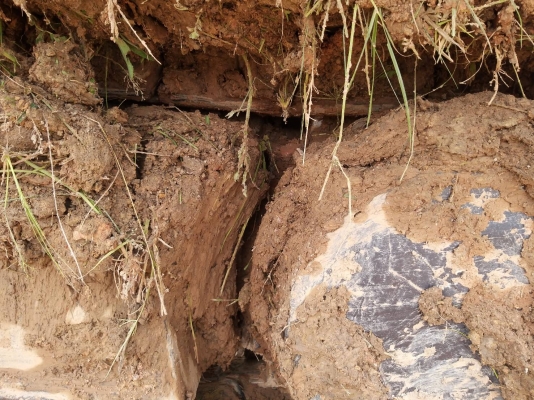 ขายรถ แบคโฮ KOBELCO SK200 MARK III