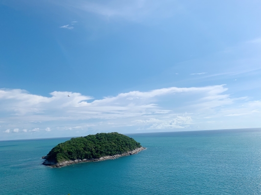 รถบด SAKIA SV 500 TF เก่านอก 2 ปี 1,6xx ชั่วโมง 2 เพลา 2 เปลือก เครื่อง ISUZU เครื่องดี ปั้มสั่นแรง เอวแน่น ยางดี หนามหุ้มล้อเรียบสวย รถสวยพร้อมใช้ เอกสารเล่มทะเบียน  รถอยู่ นครปฐม. โทร 0626426323ขาย 895,000 บาท  รถบด SAKIA SV 500 TF เก่า