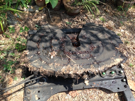 ขายจานเทรนเรอร์