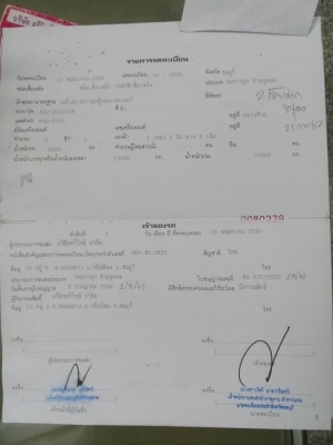 หางก้างปลา 2 เพลา ปี60 Panus