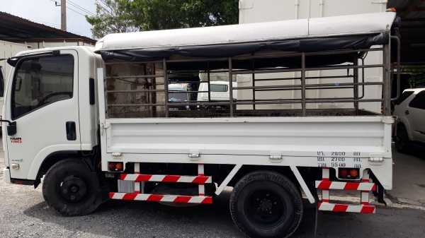 isuzu NMR 4JJ130Turbo ปี 54 สภาพสวย ไมล์ 7x,xxx พร้อมใช้งาน isuzu NMR 4JJ130Turbo ปี 54 สภาพสวย ไมล์ 7x,xxx พร้อมใช้งาน