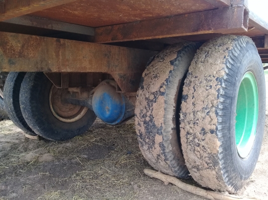 ขายสาลี่ สภาพพร้อมใช้งาน ขายสาลี่ สภาพพร้อมใช้งาน