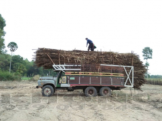 ขายด่วน Isuzu หน้ายาวเครื่อง EH700 ช่วงล่างจั้มโบ้200 2เพลา มีสโล รถวิ่งอ้อย รถสวยพร้อมใช้งาน ทะเบียนขาด2ปี ขายเพียง 260000 บาท