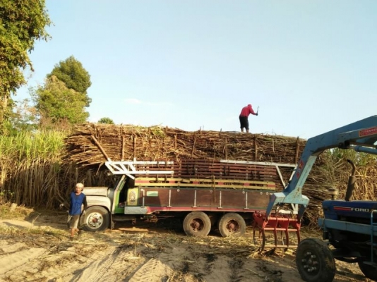 ISUZU หัวยาว