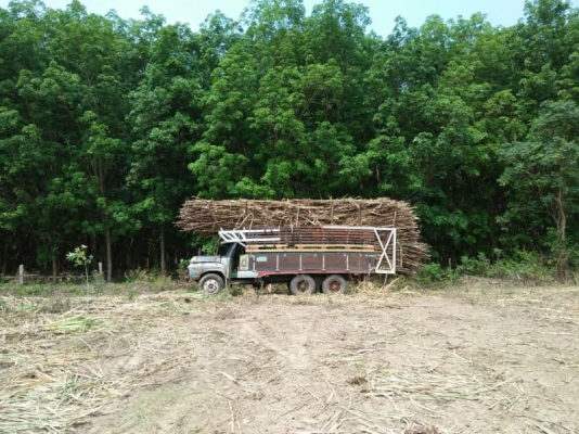 ISUZU หัวยาว