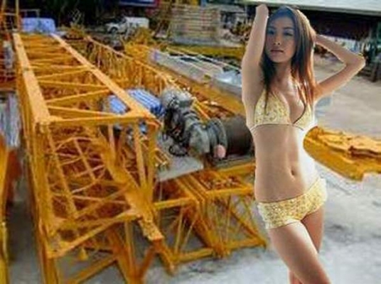 ขายทาวเวอร์เครน