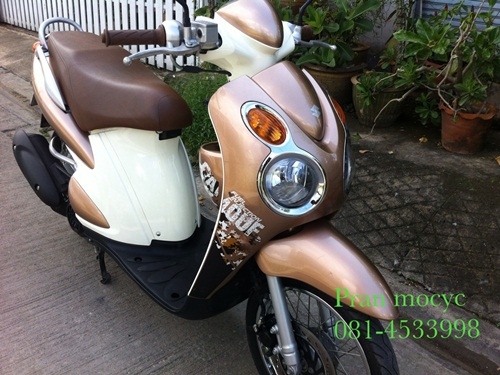 ขายjelato สีน้ำตาลทอง ปี2555 ขายjelato สีน้ำตาลทอง ปี2555