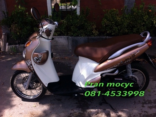 ขายjelato สีน้ำตาลทอง ปี2555