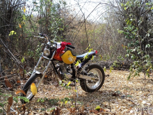 ขาย Wing ทะเบียนLifan 200 ล้อโตๆถูกๆ  20000 ด่วน ต้นสุ1000 ,0861223256