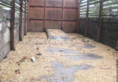 ขาย Hino KT 729 สองเพลาดั้มพ์ เครื่อง EL 100 วางหัวแรนเจอร์ พร้อมใช้ โทรเลย 088-4501277 ตลอด 24 ชม. ขาย Hino KT 729 สองเพลาดั้มพ์ เครื่อง EL 100 วางหัวแรนเจอร์ พร้อมใช้ โทรเลย 088-4501277 ตลอด 24 ชม.