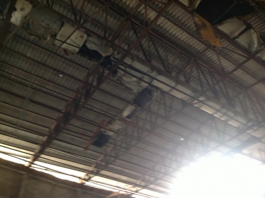 ขาย โครงสร้าง 36x60 เมตร จั่วเป็นฉากประกบ สภาพสวย ได้พื้นที่ ราคาไม่แพง