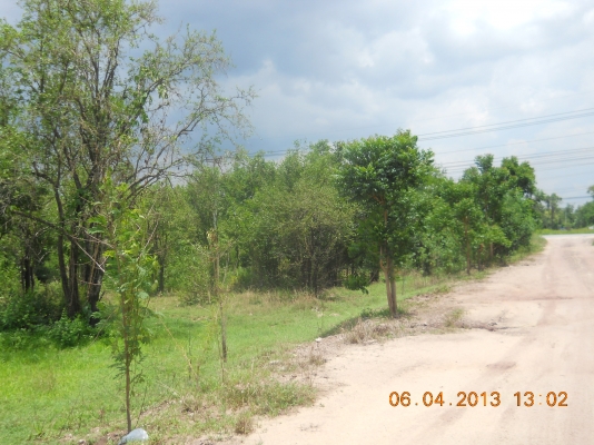 ขายที่ดิน1ไร่ใกล้ตัวเมืองปากช่องเหมาะปลูกบ้านพักอาศัยหรือค้าขาย ขายที่ดิน1ไร่ใกล้ตัวเมืองปากช่องเหมาะปลูกบ้านพักอาศัยหรือค้าขาย