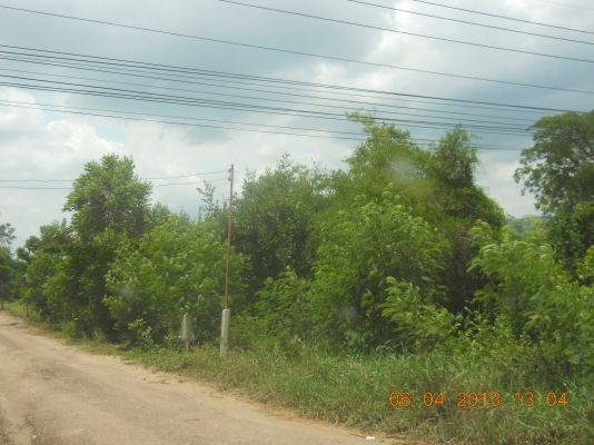 ขายที่ดิน1ไร่ใกล้ตัวเมืองปากช่องเหมาะปลูกบ้านพักอาศัยหรือค้าขาย ขายที่ดิน1ไร่ใกล้ตัวเมืองปากช่องเหมาะปลูกบ้านพักอาศัยหรือค้าขาย