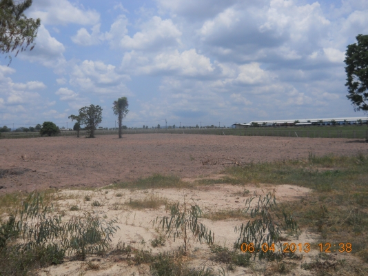 ขายที่ดิน7ไร่ทำเลดีติดถนนบายพาสปากช่องเหมาะทำธุระกิจ