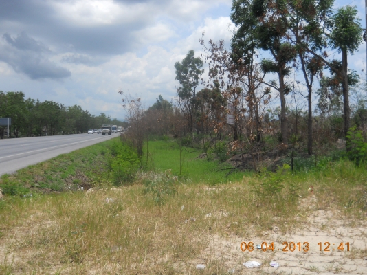 ขายที่ดิน7ไร่ทำเลดีติดถนนบายพาสปากช่องเหมาะทำธุระกิจ