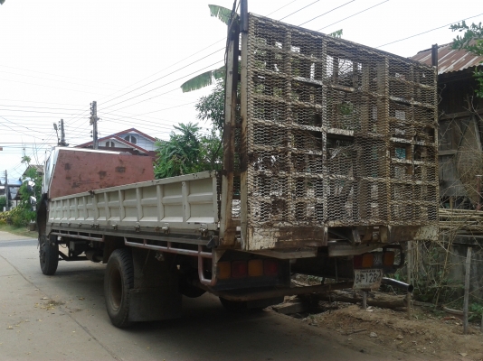 ขายร็อกกี้ยาว 7.20 ม. ขายร็อกกี้ยาว 7.20 ม.