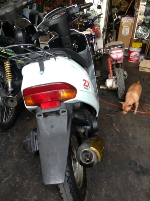 Honda Dio