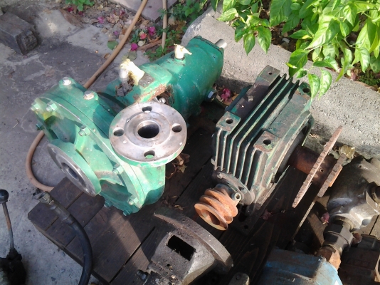 ขายเหมาครับ โล๊ะจากโรงงานให้หมดเลยครับ 15,000 ขายเหมาครับ โล๊ะจากโรงงานให้หมดเลยครับ 15,000