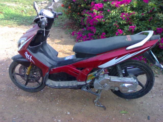 นูโวเอ็มเอ็กซ์ปี48แม็กแท้