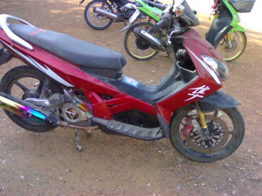 นูโวเอ็มเอ็กซ์ปี48แม็กแท้